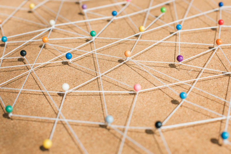 Network Studies